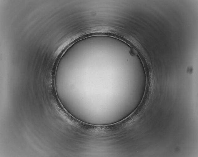 X0000113210834200910011317