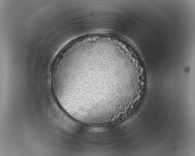 X0000113210835200910011317