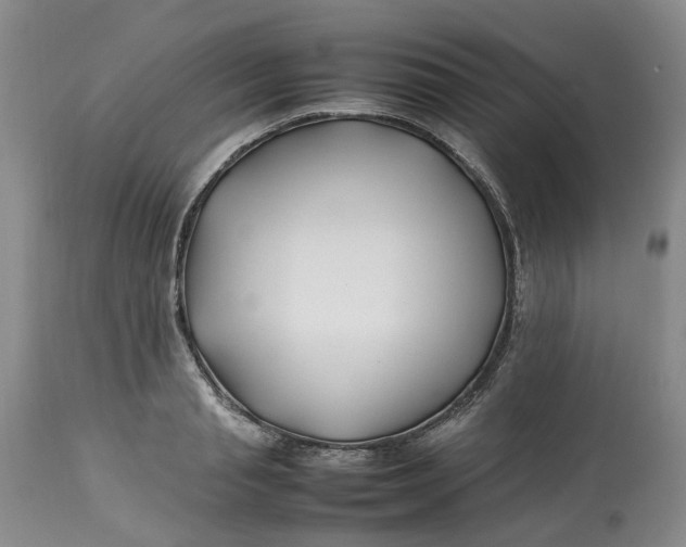 X0000113210845200910011318