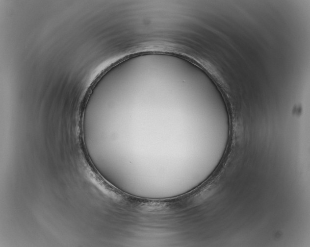 X0000113210846200910011318