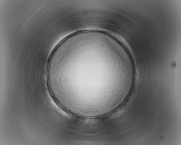 X0000113210847200910011318