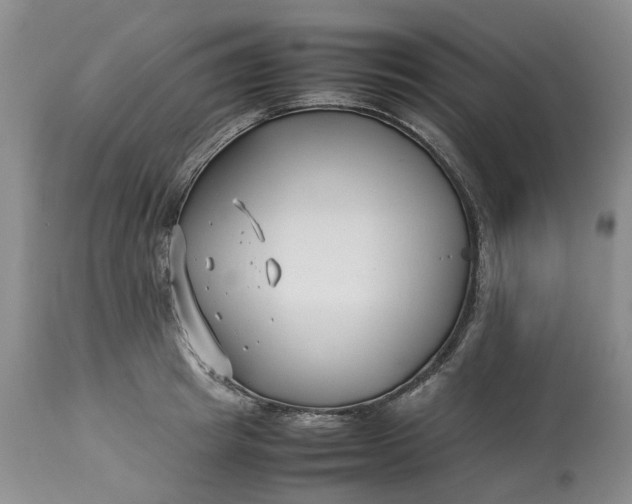 X0000113210849200910011318