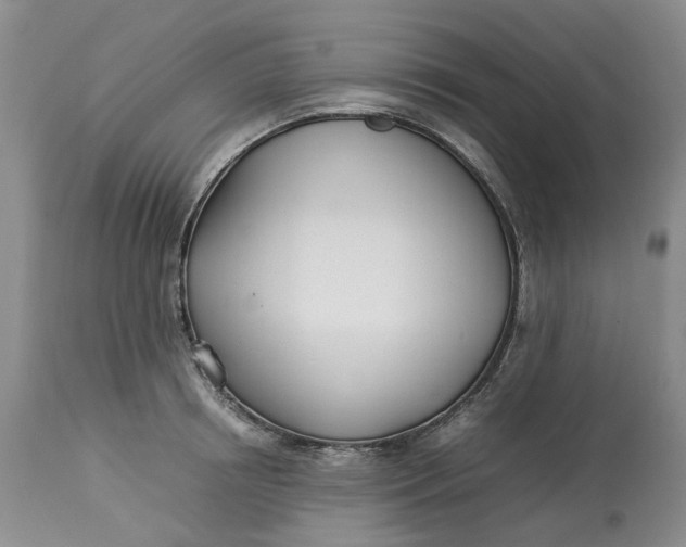 X0000113210850200910011318