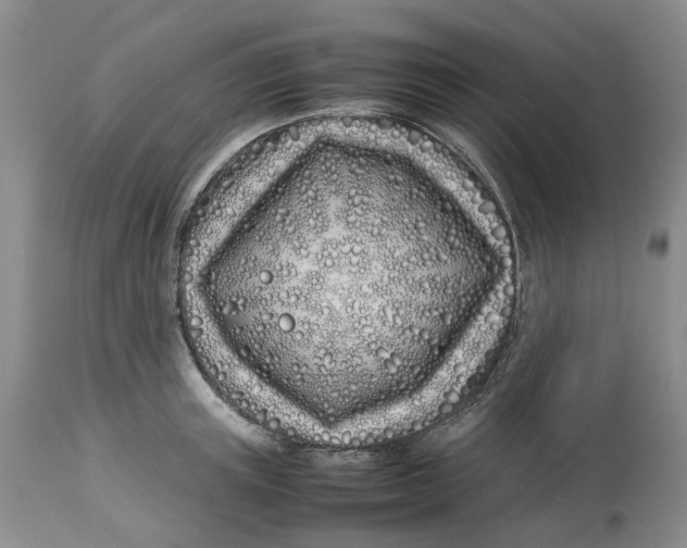 X0000113210851200910011318