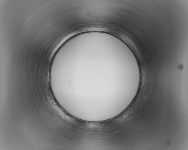 X0000113210852200910011318