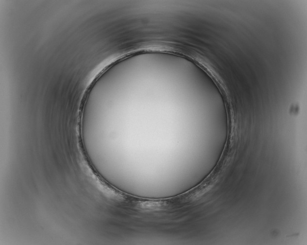 X0000113210853200910011318