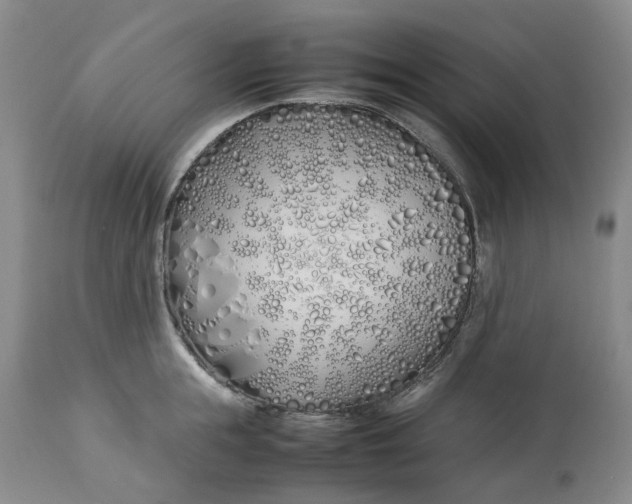 X0000113210855200910011318