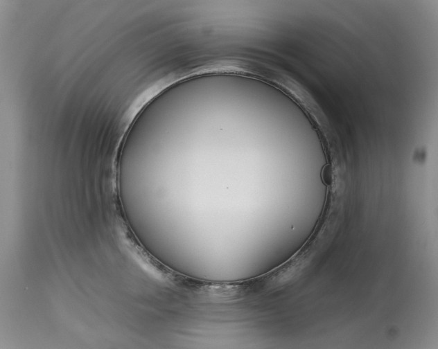 X0000113210858200910011318