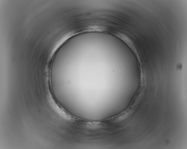 X0000113210859200910011318