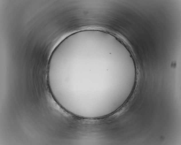 X0000113210860200910011318