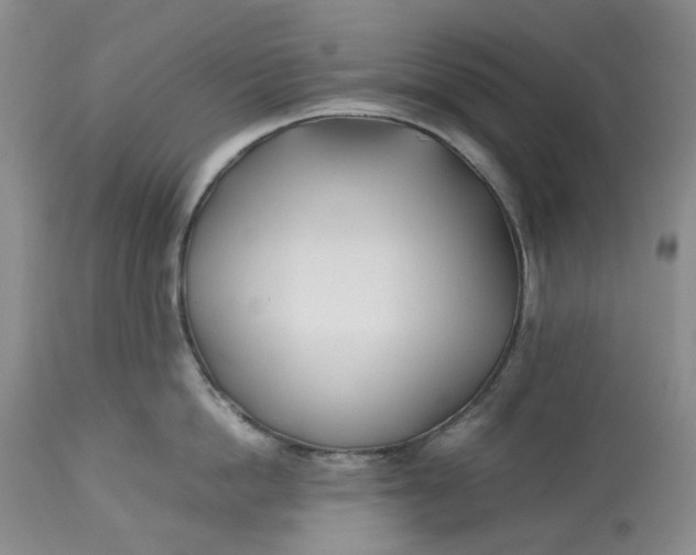 X0000113210862200910011318