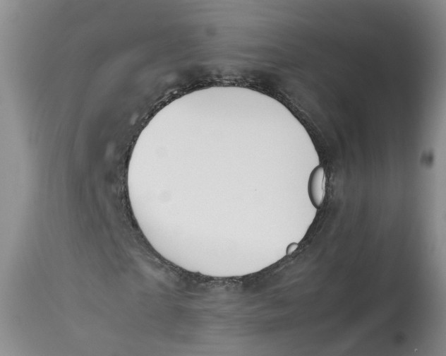 X0000113210865200910011317