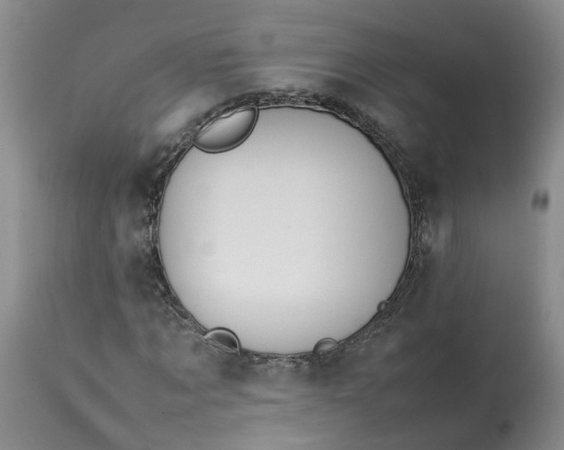 X0000113210869200910011317