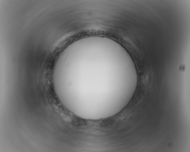 X0000113210870200910011317