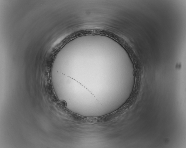 X0000113210871200910011317