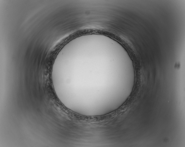 X0000113210872200910011317