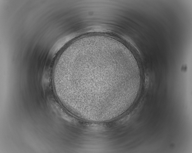 X0000113210874200910011317