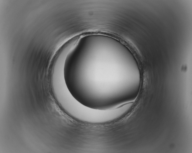 X0000113210876200910011317