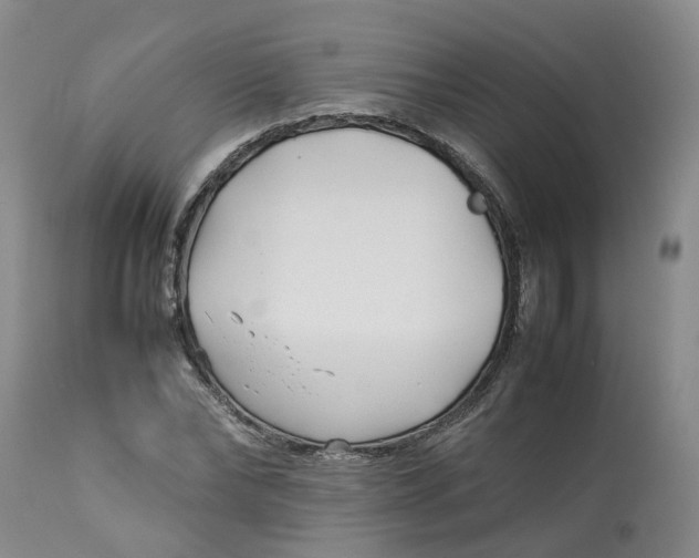 X0000113210878200910011317