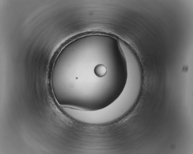 X0000113210880200910011317