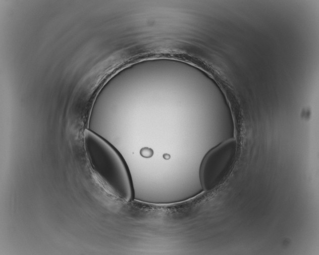 X0000113210881200910011317