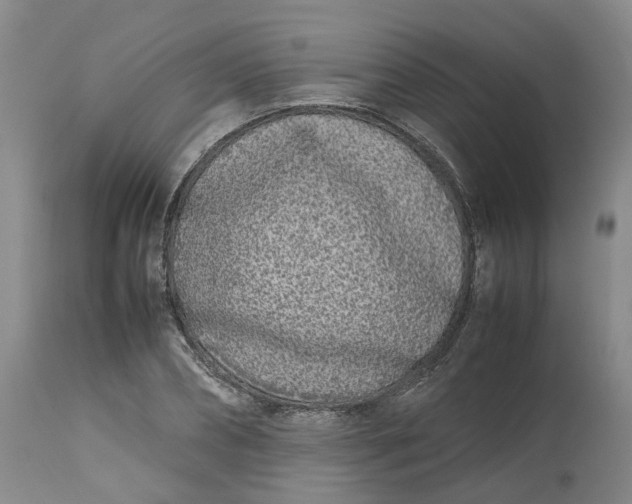 X0000113210882200910011317