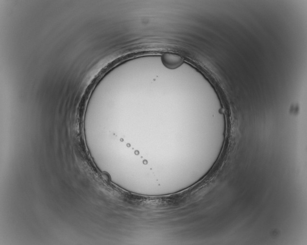 X0000113210883200910011317