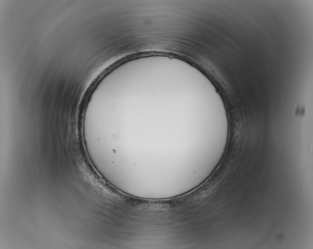 X0000113210884200910011317