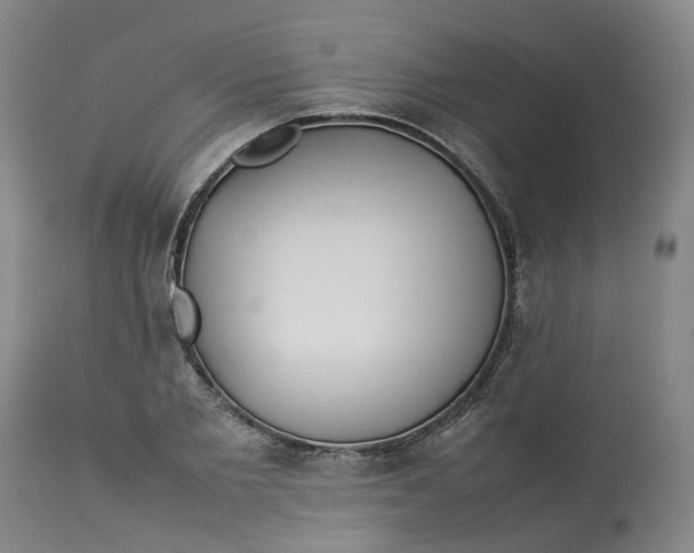 X0000113210885200910011317