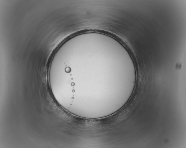 X0000113210887200910011317