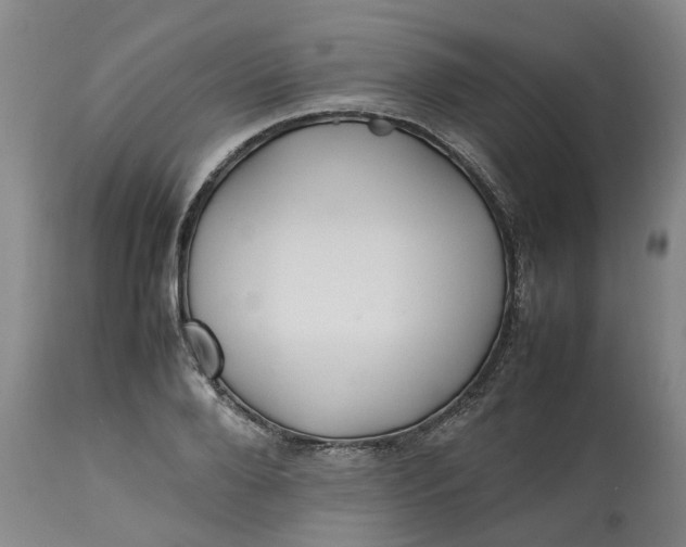 X0000113210888200910011317