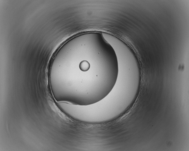 X0000113210892200910011317