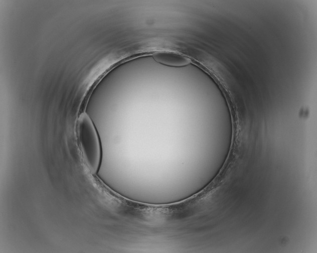 X0000113210893200910011317