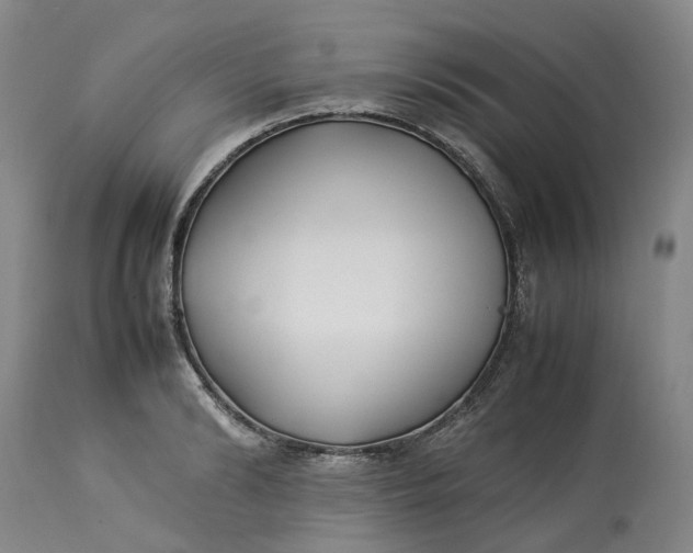 X0000113210894200910011317