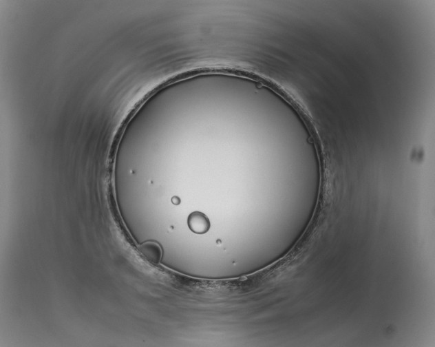 X0000113210895200910011317