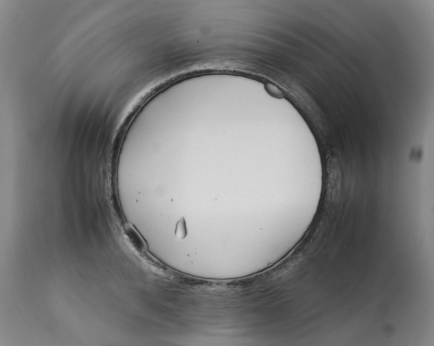 X0000113210896200910011317