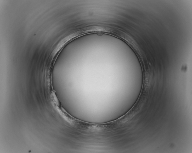 X0000113210898200910011317