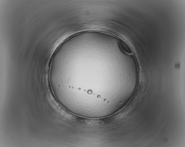 X0000113210899200910011317