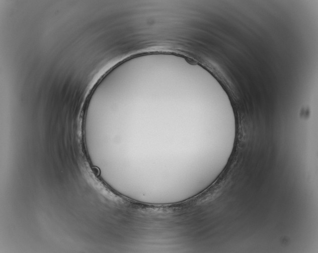 X0000113210900200910011317