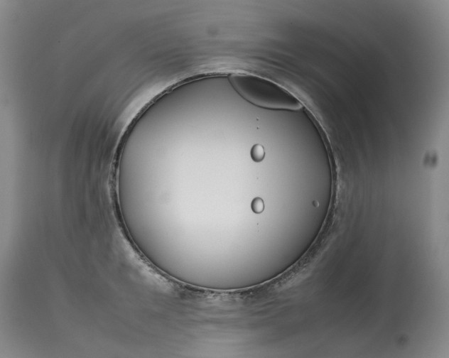 X0000113210901200910011317