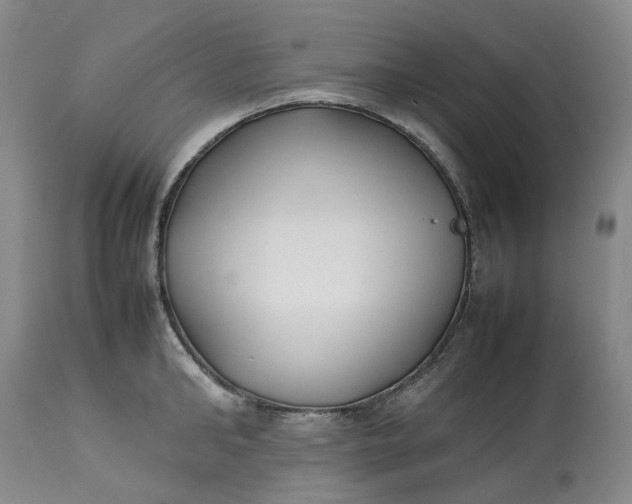 X0000113210902200910011317