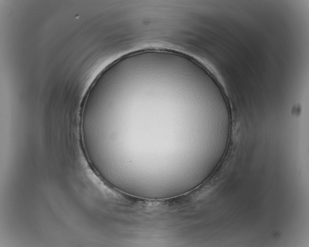 X0000113210903200910011317