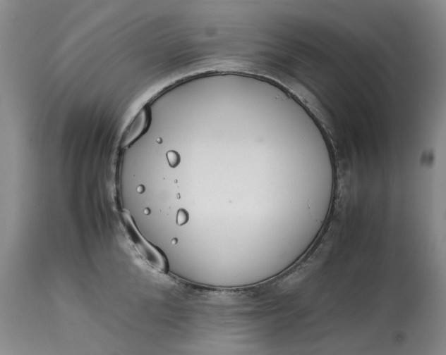 X0000113210904200910011317