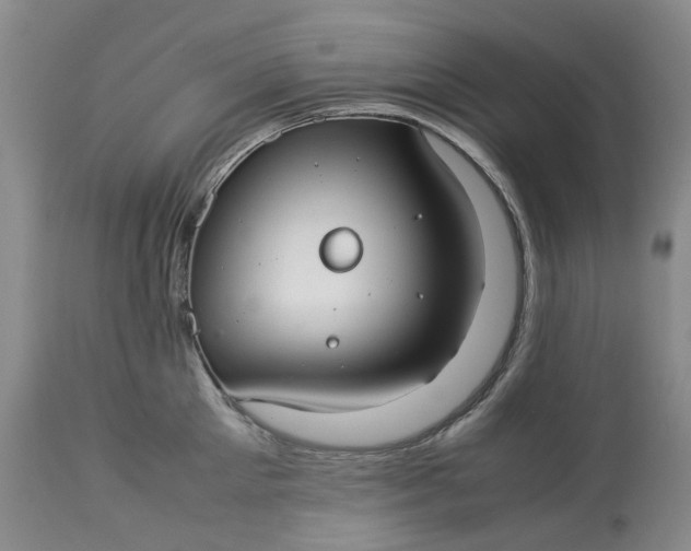 X0000113210905200910011317