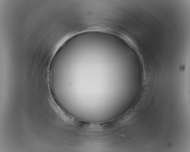 X0000113210907200910011317