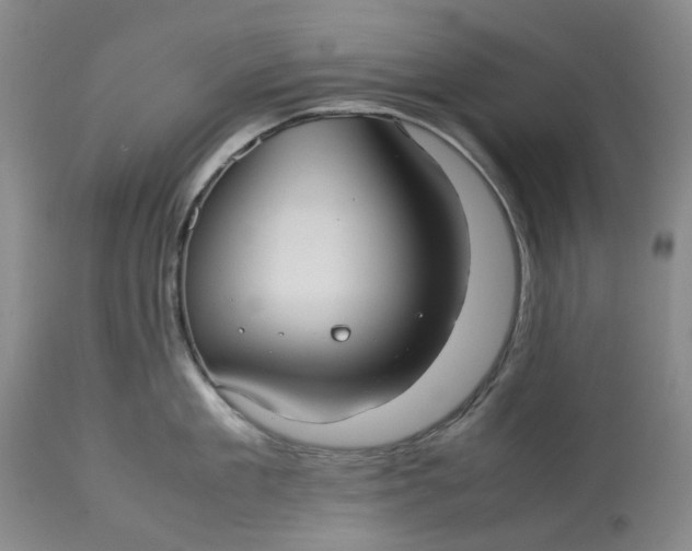 X0000113210909200910011317