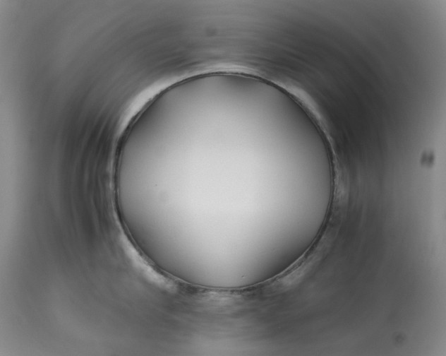 X0000113210910200910011317