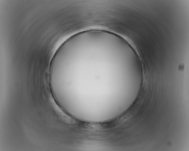 X0000113210911200910011317