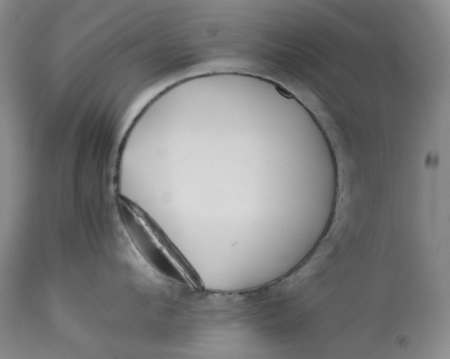 X0000113210912200910011317