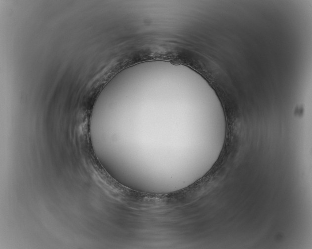 X0000113210914200910011316